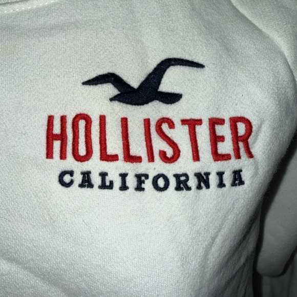 HOLLISTER APPLIQUE LOGO CREWNECK - Picture 2 of 10
